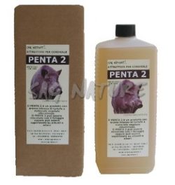 1001016 - ATTRATTIVO PENTA 2 AL GUSTO DI TARTUFO PER CINGHIALE DA AGGIUNGERE AL CIBO O A TRACCIA  - 1 LITRO