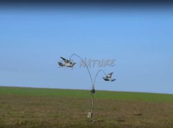 1002019 - GIOSTRA COMPLETA DI DUE COLOMBACCI ALI BATTENTI IN PIUMA CON CONTATTI STRISCIANTI - Attualmente non disponibile se vuoi prenotarla invia WhatsApp al +39 3286953793

<a href="https://api.whatsapp.com/send?phone=393286953793"><strong>WhatsApp3286953793Da cellulare</strong></a>