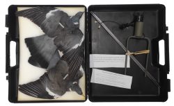 1002035 - KIT IN VALIGIA CON GIOSTRA DI COLOMBACCI  COMPLETA DI 2 STAMPI IN PIUMA ALI APERTE (STAMPI CON CERTIFICATO) - Attualmente noon disponibile, - PRENOTA IL PRODOTTO invia WhatsApp al +39 3286953793
<strong>WhatsApp3286953793Da cellulare</strong></a>