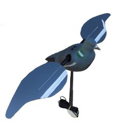 1002036 - COLOMBACCIO ALI GIREVOLI 12V CON FILO DA 4 METRI ED INTERRUTTORE ON/OFF - SAG NATURE