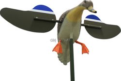 1002038 - GERMANO ALI GIREVOLI (MASCHIO O FEMMINA) - SENZA TELECOMANDO