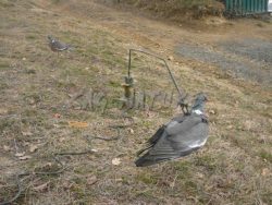 1002060 - GIOSTRA SVOLATTINO 2 COLOMBACCI O PAVONCELLE RADIOCOMANDATI