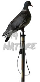 1002066 - COLOMBACCIO STANTUFFO SVOLATTINO MANUALE