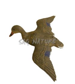 1713022 - GERMANO FEMMINA POSATO ALI APERTE 7859 - STAMPISAG