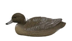 1713035 - FISCHIONE FEMMINA 7812F - STAMPISAG