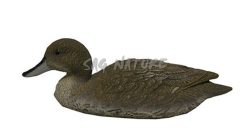 1713037 - CODONE FEMMINA 78296-RA - STAMPISAG