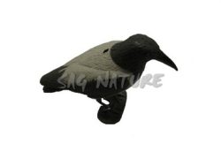 1713038 - CORNACCHIA GRIGIA 78520 - STAMPISAG