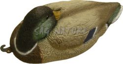 1713043 - GERMANO MASCHIO A RIPOSO 78240