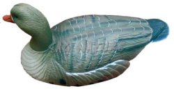 1713069 - OCA LOMBARDELLA A CONCHIGLIA - DA CAMPO - 78573L