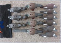 1713072 - KIT DI 21 COLOMBACCI (9 CONCHIGLIA - 4 BECCANTE - 6 TESTA ALTA) CON SACCA TRASPORTO ED ASTE - ART. PIGEON KIT