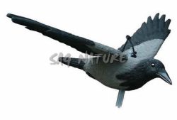 1713076 - CORNACCHIA IN VOLO - STAMPISAG