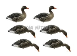 1713082 - SET OCA DA CAMPO 1713082 - CORPO PIENO CON DIVERSE POSIZIONI FLOCKED - CONFEZIONE DA 6 PEZZI - FINAL APPROACH - FA229283