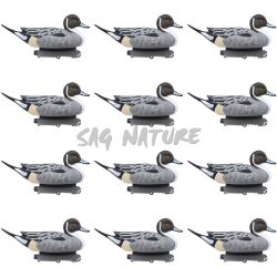 1713096 - SET CODONE MASCHIO ULTIMO PASSO - CONFEZINE 12 PEZZI - FINAL APPROACH FA233520