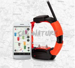 1721015 - COLLARE AGGIUNTIVO CON ADDESTRAMENTO GPS X30T - DOGTRACE 6134