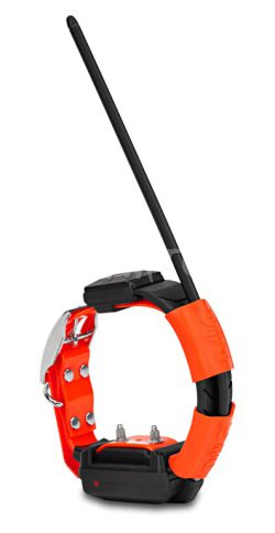 1721027 - COLLARE AGGIUNTIVO GPS X25T - DOGTRACE 6168