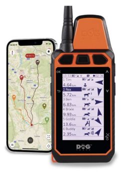 1721038 - PALMARE X40 RICEVENTE - DOGTRACE