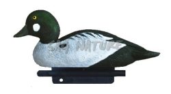 2001018 - QUATTROCCHI MASCHIO 34,5 CM STD16 SPORTPLAST