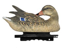 2001057 - GERMANO FEMMINA IN PULIZIA PR 02 SPORTPLAST