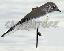 2003016 - TORDO BOTTACCIO 52-00 SPORTPLAST