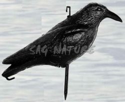 2003019 - CORVO ECONOMICO LC750 SPORTPLAST