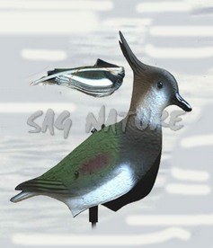 2004004 - PAVONCELLA SILHOUETTE MAGNUM 225-00 SPORTPLAST