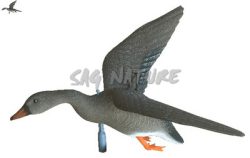 2007014 - OCA GRANAIOLA IN VOLO CON SISTEMA VENTO DIREZIONALE FL 1050 SPORTPLAST