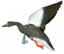 2007019 - OCA LOMBARDELLA IN VOLO - FL 1040 - SPORTPLAST