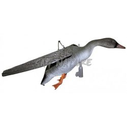 2007020 - OCA GRANAIOLA IN VOLO - FL 1050 - SPORTPLAST