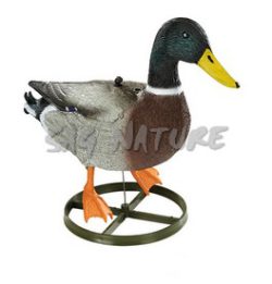 2008006 - GERMANO MASCHIO TESTA ALTA LG 01 SPORTPLAST