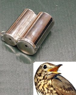 4202022 - RICHIAMO PROFESSIONALE PER TORDO A DUE USCITE - IN BLISTER