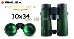 6101005 - BINOCOLO ODYSSEY 10X34 - RIEMPIMENTO DI AZOTO E LENTI MADE IN JAPAN - SHILBA - 152084