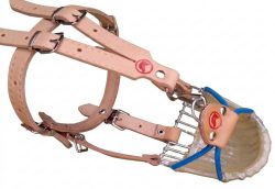 6802001 - MUSERUOLA RESINATA PER PROTEGGERE I CANI DA TARTUFO DALLE ESCE AVVELENATE