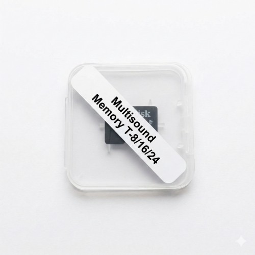 0201015 - MEMORIA PER MICRO LT 24 CANTI A RICHIESTA - MULTISOUND