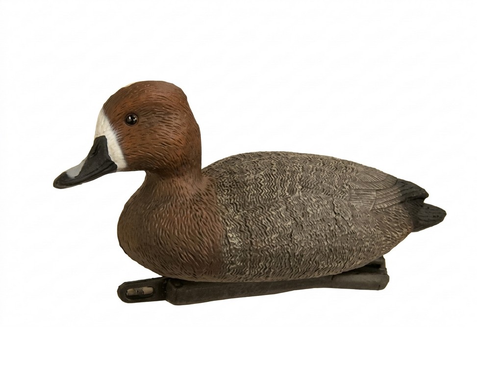 1713005 - MORIGLIONE FEMMINA 7820H - STAMPISAG