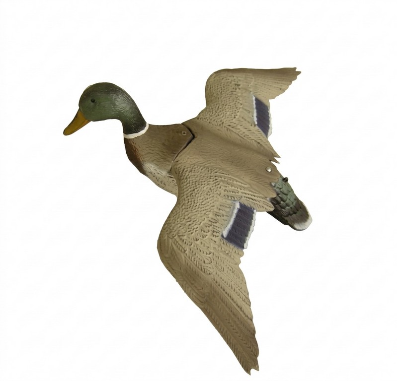 1713023 - GERMANO MASCHIO POSATO ALI APERTE 7857 - STAMPISAG