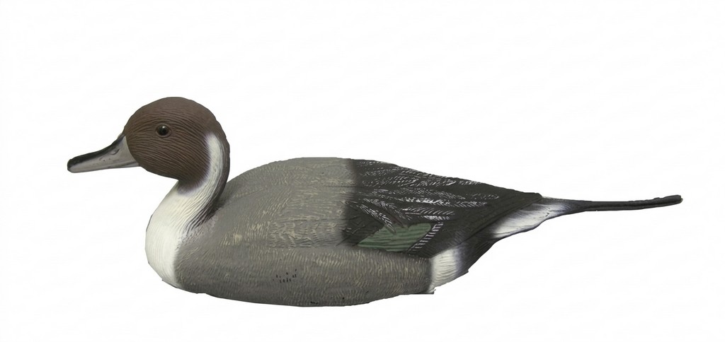 1713036 - CODONE MASCHIO 78295-RA - STAMPISAG