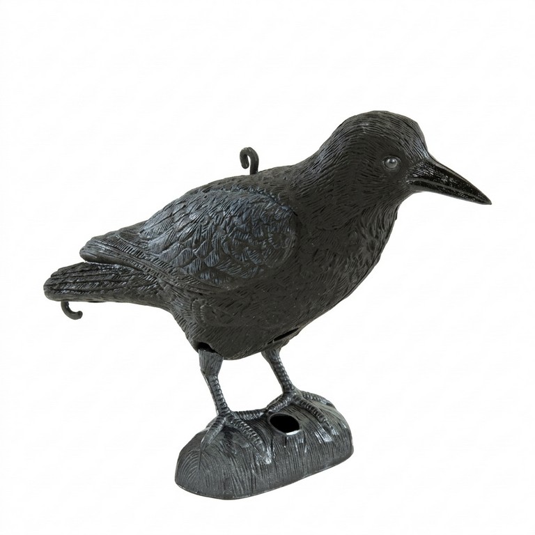 1713068 - CORVO NERO - STAMPISAG