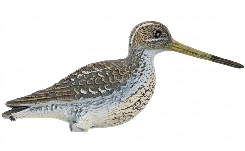 1713071 - BECCACCINO 78555