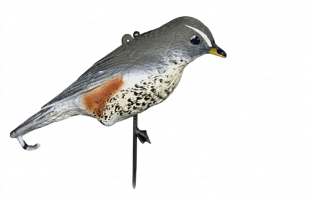 2003005 - TORDO SASSELLO 51-00 SPORTPLAST