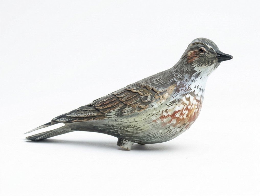 2003011 - ALLODOLA 47-00 SPORTPLAST - CF 6 PZ - PREZZO SINGOLO