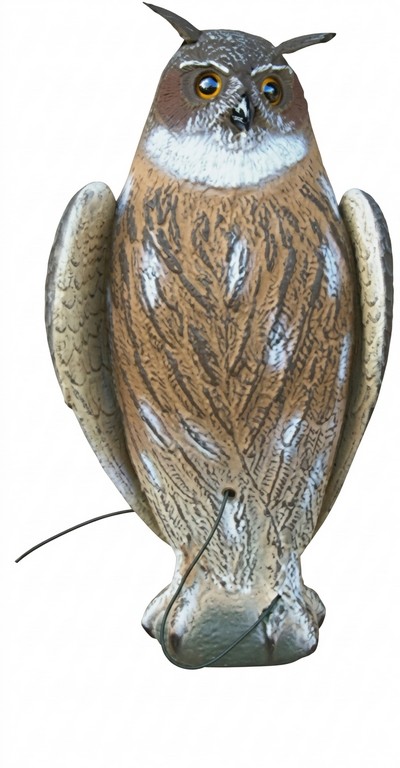 2004019 - GUFO REALE 51 CM ALI BATTENTI 87-00 SPORTPLAST