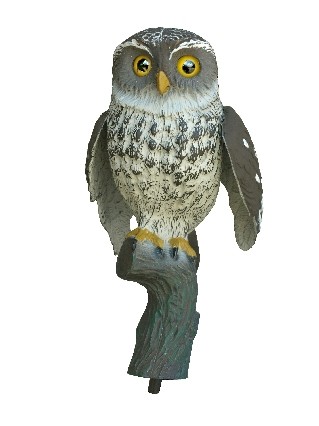 2004022 - CIVETTA 23 CM POSATA ALI BATTENTI 77-00 SPORTPLAST