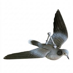 2007009 - TORTORA EUROPEA IN VOLO CON SISTEMA VENTO DIREZIONALE FL 239 SPORTPLAST