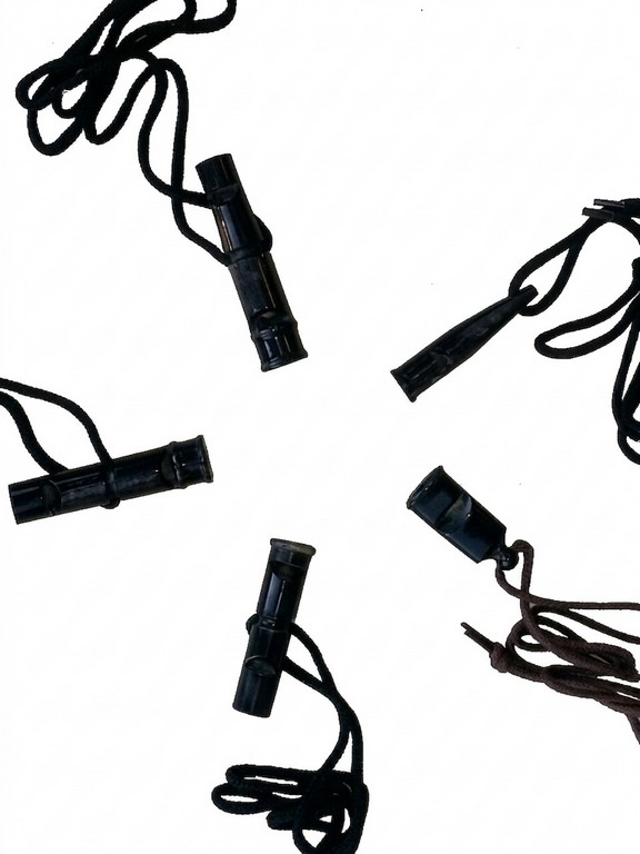 5401007 - KIT 5 FISCHIETTI IN CORNO DI BUFALO - (1 pz per codice 5401002-5401003-5401004-5401005-5401006) - SAG NATURE