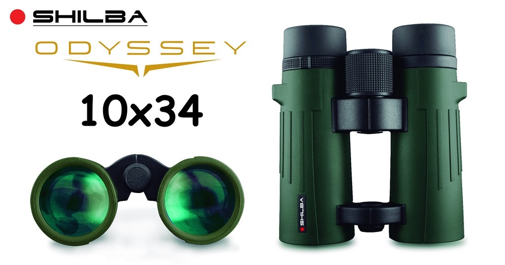 6101005 - BINOCOLO ODYSSEY 10X34 - RIEMPIMENTO DI AZOTO E LENTI MADE IN JAPAN - SHILBA - 152084