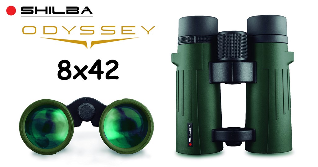 6101006 - BINOCOLO ODYSSEY 8X42 - RIEMPIMENTO DI AZOTO E LENTI MADE IN JAPAN - SHILBA - 152085